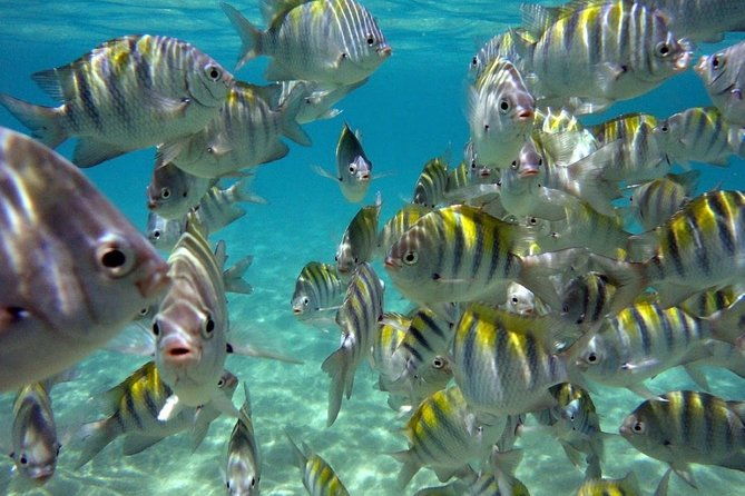 maragogi-alagoas-caribbean-brazilian