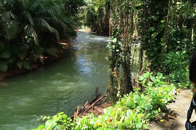 martha-brae-river-bamboo-rafting-private-tour