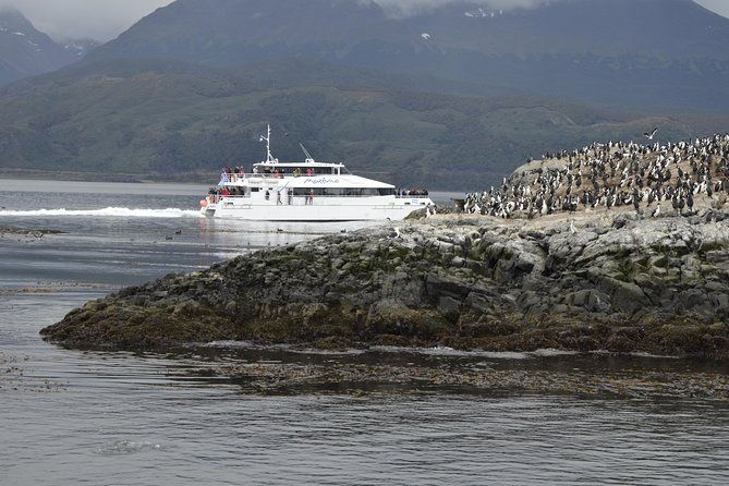 martillo-island-boat-trip-to-the-penguin-colony-beagle-channel