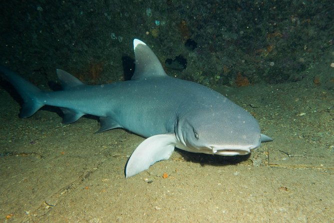 maui-certified-shore-diving-from-lahaina