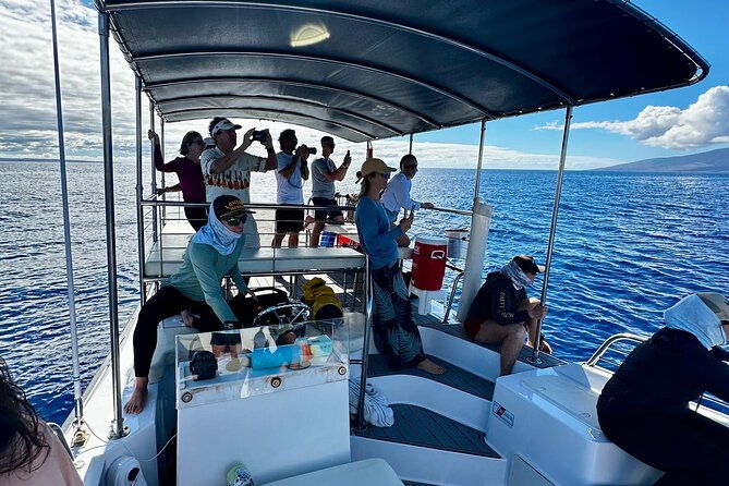maui-mid-day-magic-whale-watch