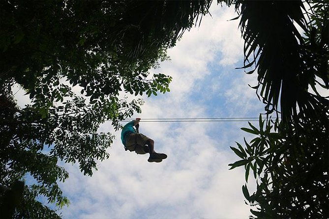 mayan-jungle-zipline-monkey-sloths-city-tour-private-vehicle