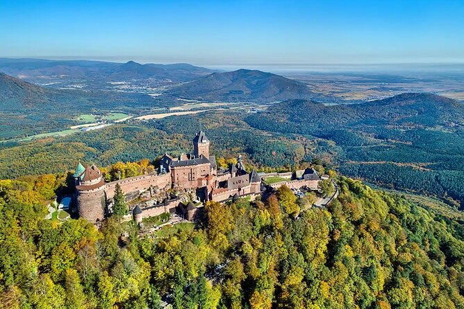 medieval-alsace-and-wine-tasting-from-colmar-3