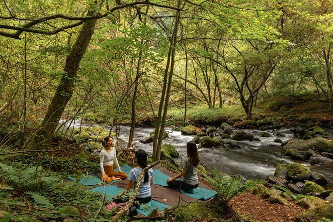 meditation-experience-in-nature-with-primeval-forest-and-springs