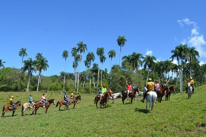 mega-zip-and-ride-in-dominican-countryside