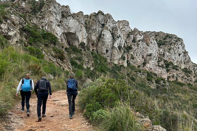 memorable-hike-in-sierra-de-tramuntana-with-the-transportation