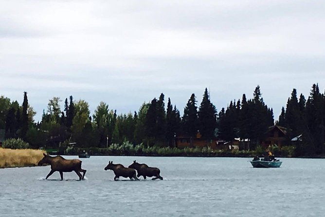 middle-kenai-river-full-day-fishing-trip
