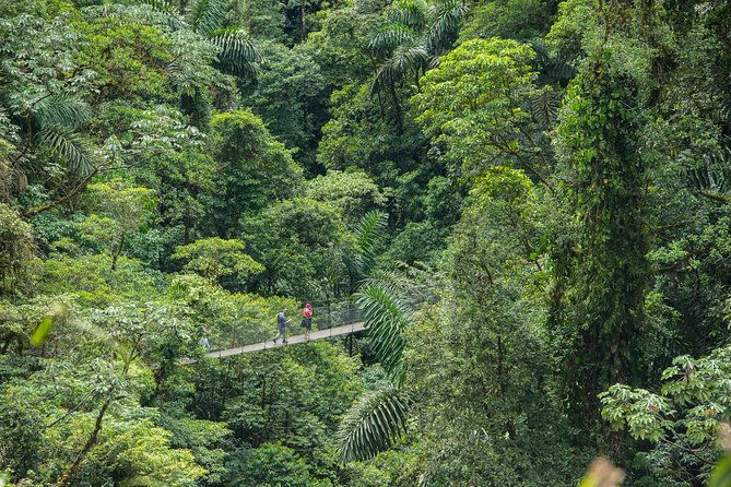 mistico-hanging-bridges-am-or-pm-guide-transport