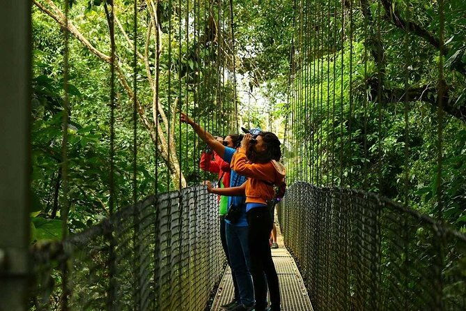 mistico-hanging-bridges-tour-with-lunch-and-hotsprings