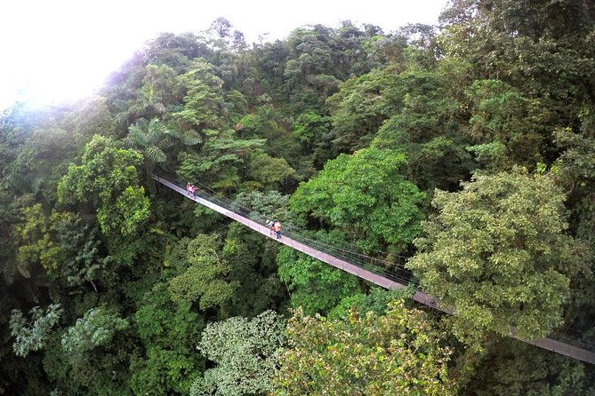 mistico-park-hanging-bridges-guided-tour