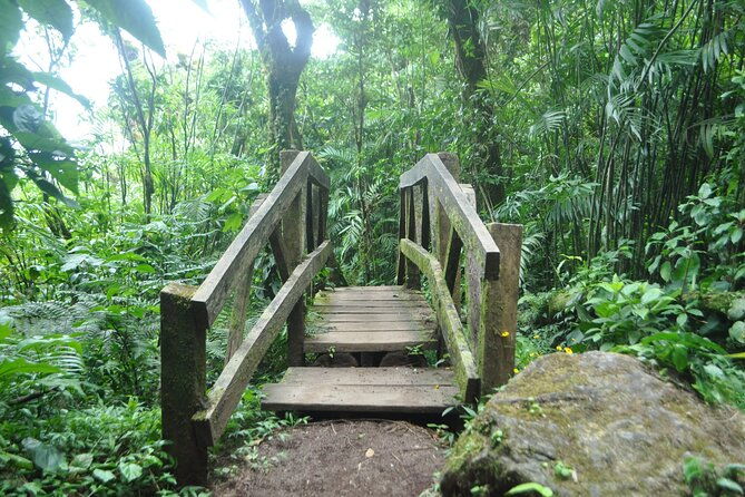 mombacho-volcano-trails-and-zip-line-amazing-natural-landscapes