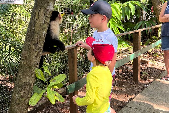 monkey-and-sloth-chocolate-rum-tasting-and-beach-break-in-roatan