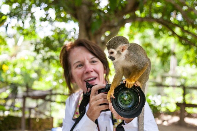 monkeyland-and-plantation-safari-tour-from-punta-cana