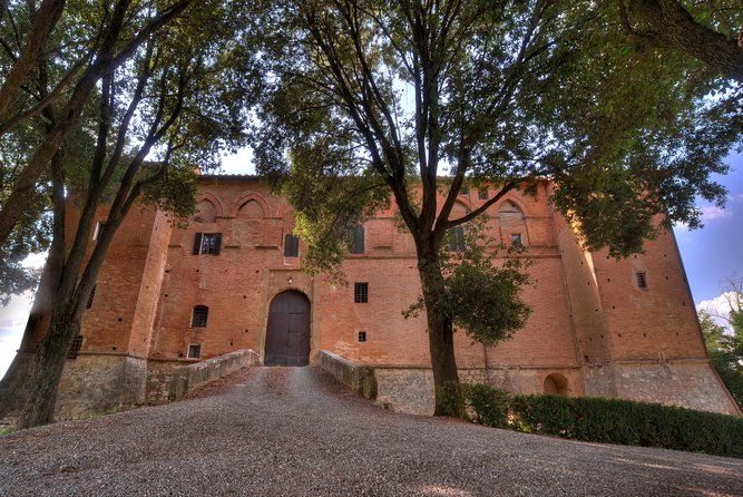 montalcino-castle-and-vineyards-tour-with-tasting-2