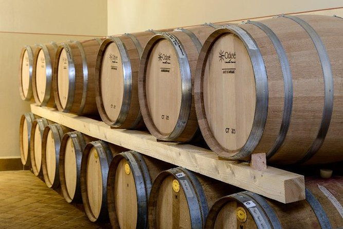 montefalco-winery-and-oil-mill-tour-in-with-light-lunch