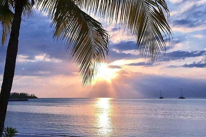 montego-bay-highlights-private-full-day-tour-from-falmouth