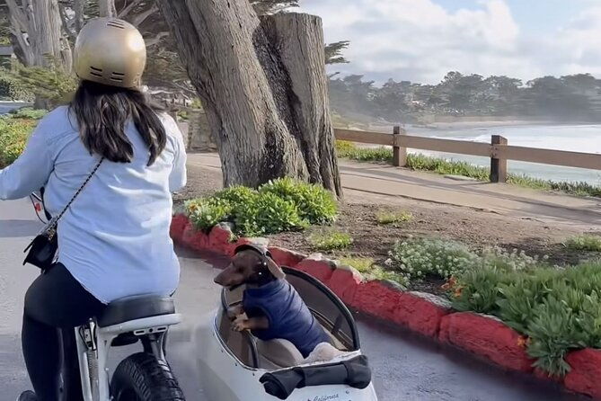 monterey-bay-famous-dog-friendly-electric-bike-and-sidecar-tour