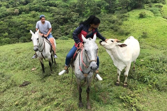 monteverde-cloud-forest-horseback-riding