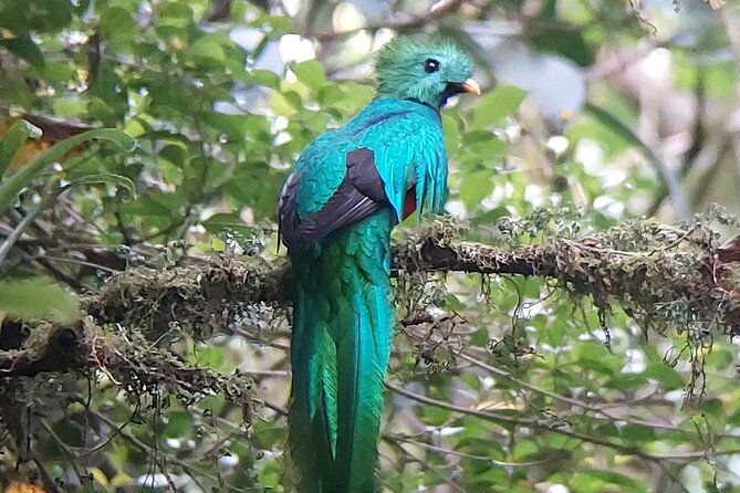 monteverde-cloud-forest-tour-2