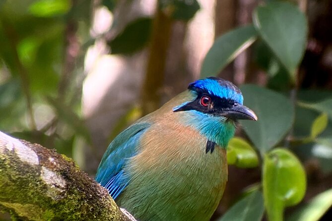monteverde-semi-private-full-day
