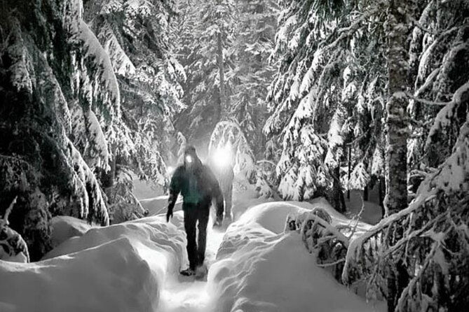 moonlight-snowshoe-hike