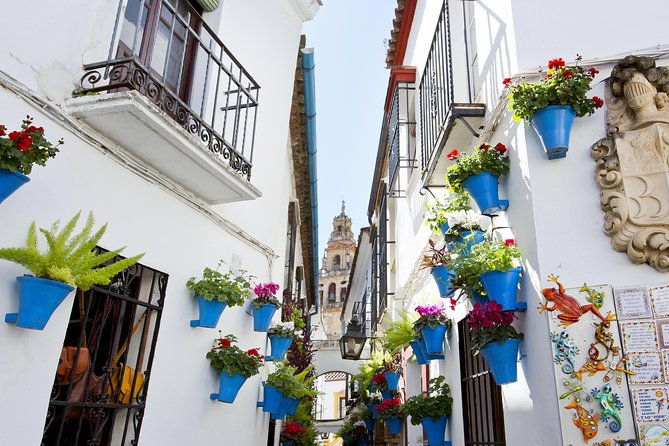 mosque-cathedral-alcazar-synagogue-with-skip-the-line-tickets