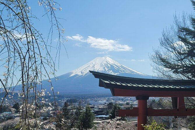 mount-fuji-day-tour-with-english-hindi-speaking-guide