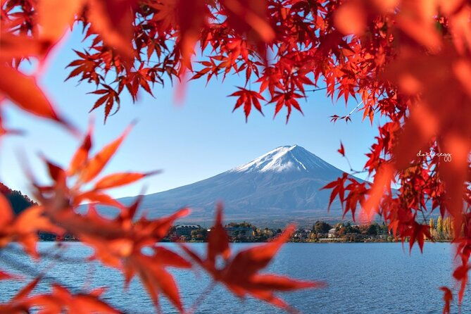 mount-fuji-full-day-tour-form-tokyo-lake-kawaguchi-yamanaka