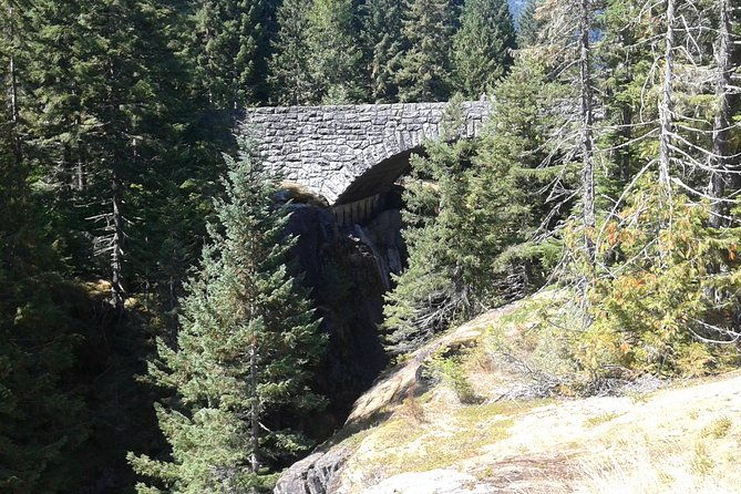 mount-rainier-tour-from-seattle-2