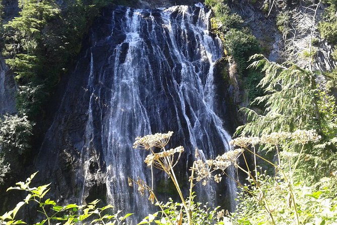 mount-rainier-tour-from-seattle