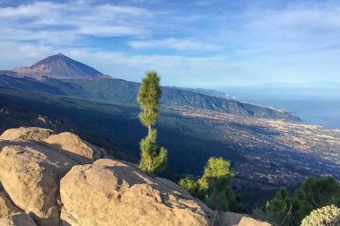 mount-teide-and-tenerife-north-with-food-wine-tasting-private-tour