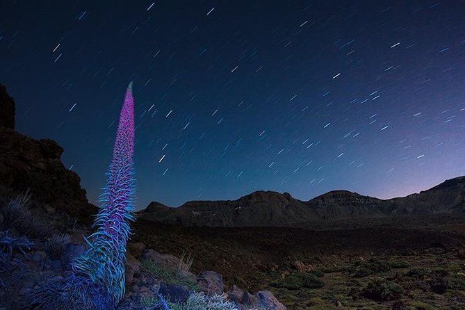 mount-teide-night-tour-stargazing-dinner-and-hotel-pick-up-2