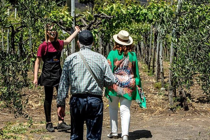 mount-vesuvius-wine-tasting-with-lunch-private-tour-from-amalfi-coast