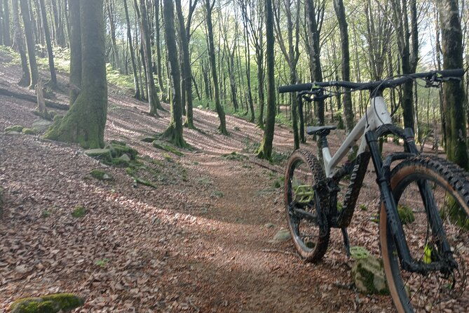 mountain-bike-small-group-tour-in-san-sebastian