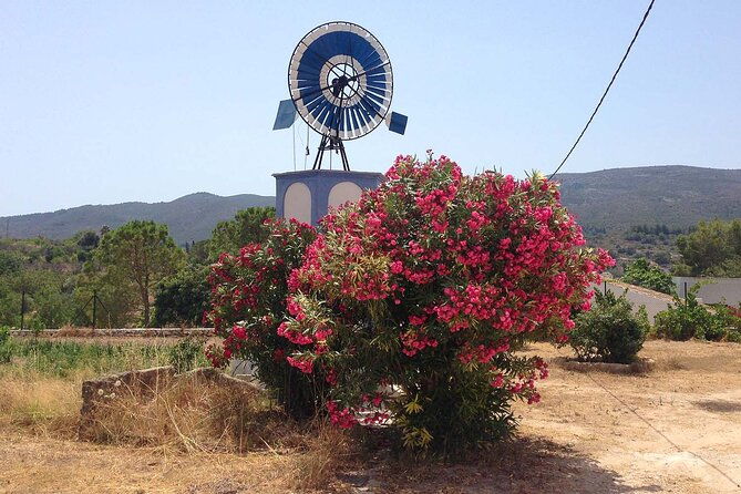 mountain-bike-tour-font-de-la-mata-3