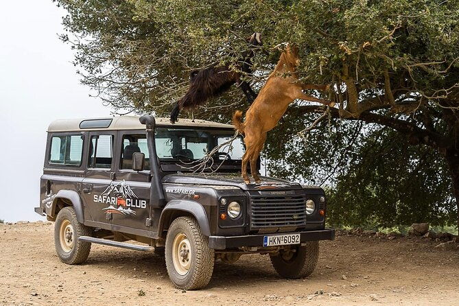 mountains-of-crete-4x4-tour-with-taverna-lunch