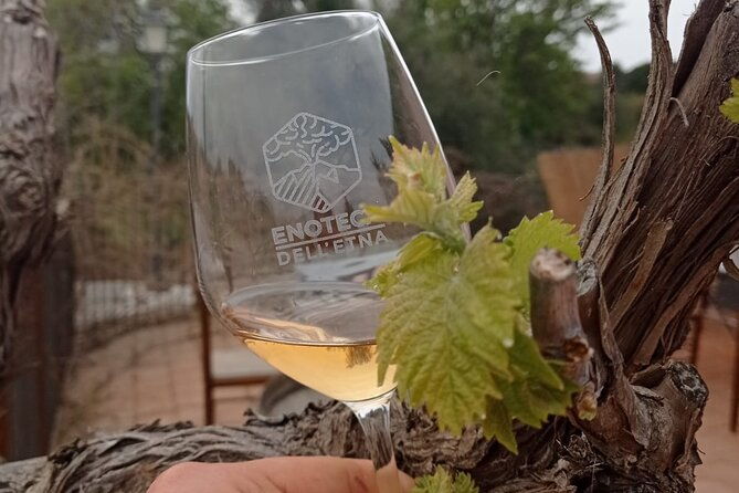 mt-etna-trekking-and-wine-tasting-from-syracuse