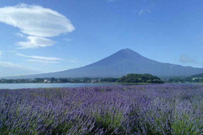 mt-fuji-day-tour-from-tokyo-with-chinese-and-english-service