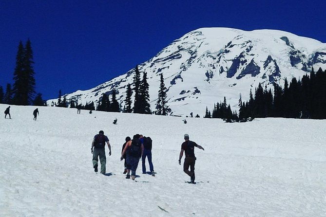 mt-rainier-private-tour-experience-in-suv
