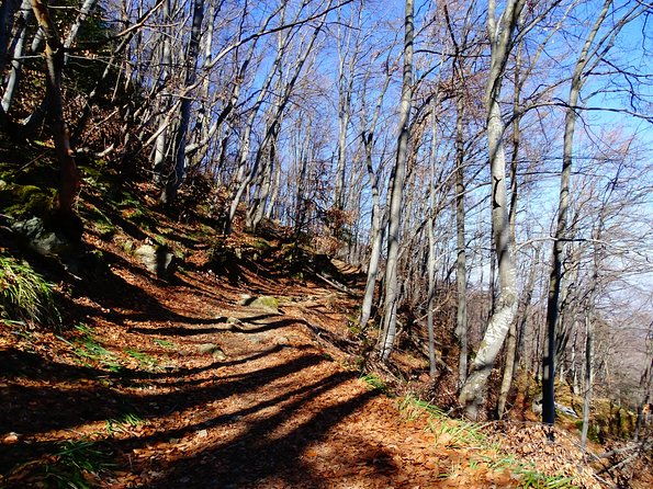 mt-vitosha-and-boyana-waterfall-hiking-tour-from-sofia