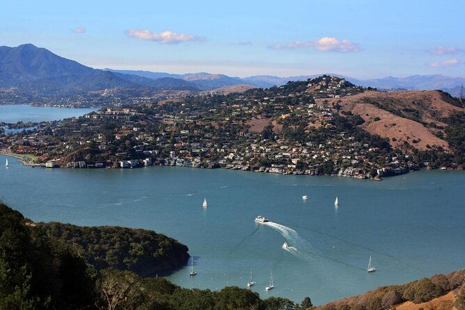 muir-woods-sausalito-and-tiburon-day-trip-from-san-francisco