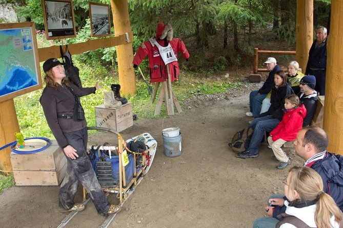 mushers-camp-and-smore-roasting-experience-2
