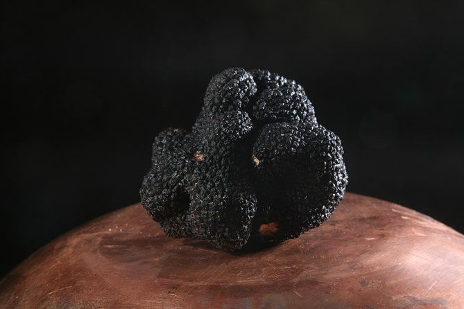mushroom-or-truffle-hunting