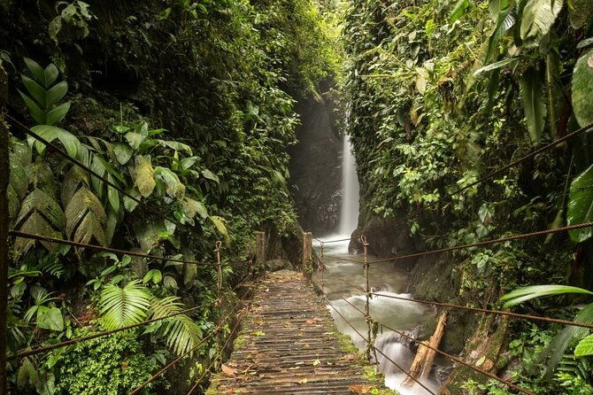 mystical-mindo-marvels-a-daylong-dive-into-natures-dreamland