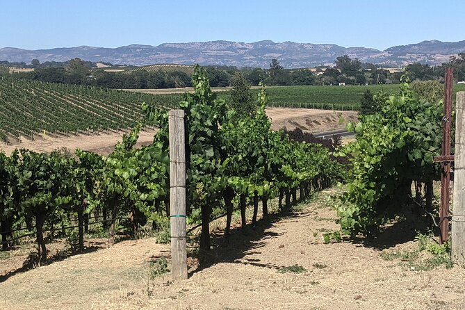 napa-and-sonoma-valley-wine-6-hour-tour-from-san-francisco