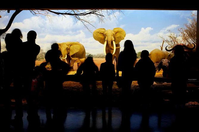natural-history-museum-of-los-angeles-county-admission