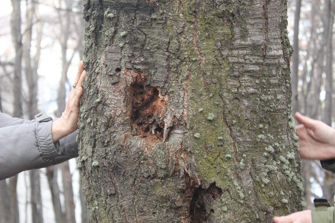 naturaldanza-dance-in-nature