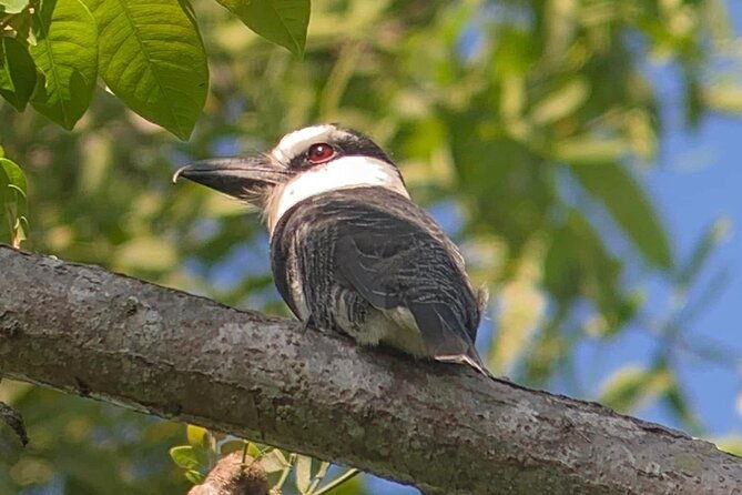nature-and-bird-watching-at-marino-ballena-national-park