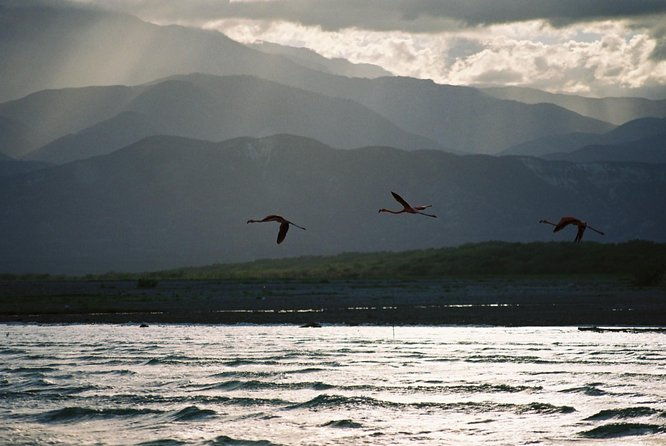 nature-combo-oviedo-lagoon-bahia-de-las-aguilas