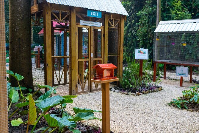 nature-trail-tram-rum-tasting-at-harrisons-cave-by-chukka